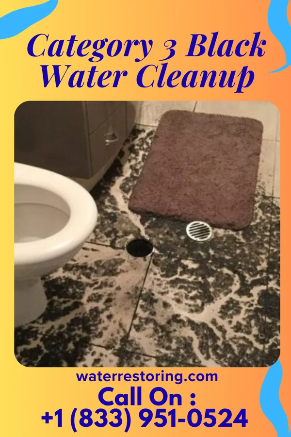 Category 3 Black Water Cleanup in New Lexington, OH