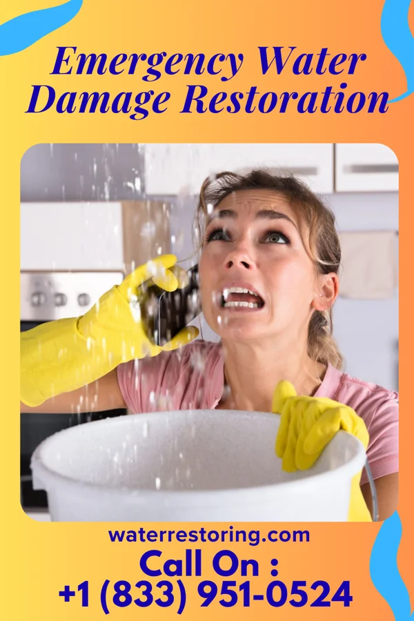 Emergency Water Damage Restoration in New Lexington, OH