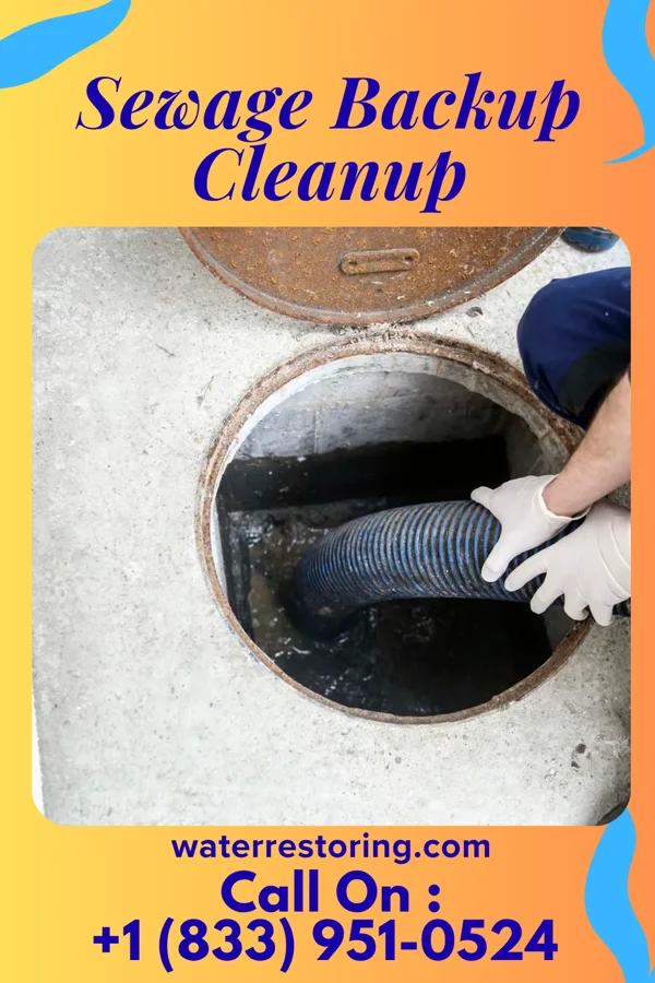 Sewage Backup Cleanup in New Lexington, OH