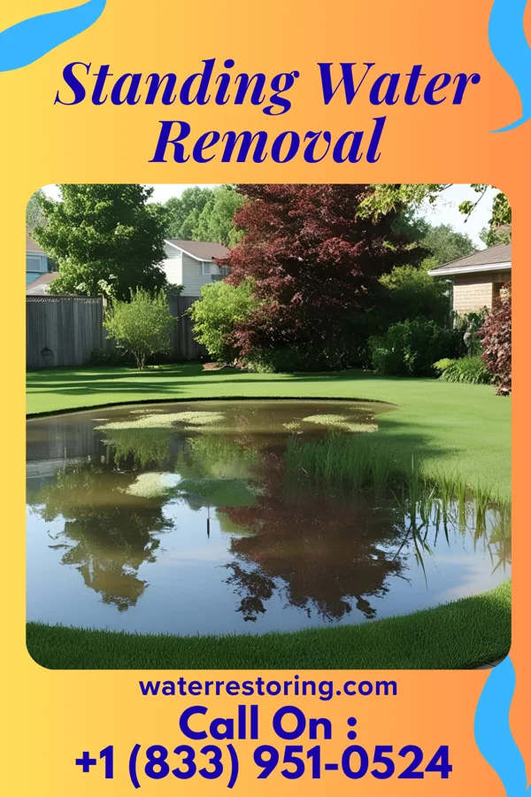 Standing Water Removal in New Lexington, OH